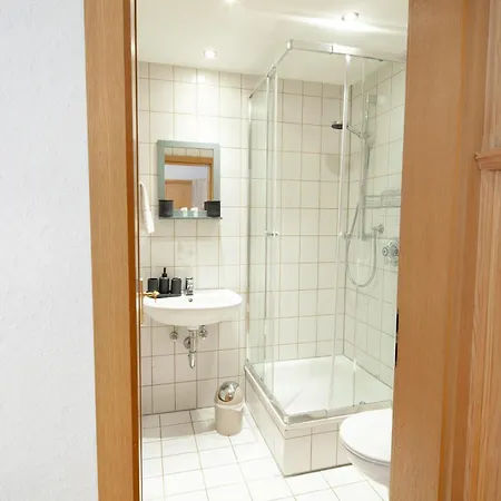 Dorfwirt 招待所 普夫龙滕